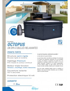 Spa Octopus 2