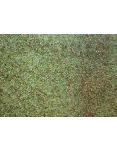 Verre Grade 1 / 0.5 - 1.0... 2